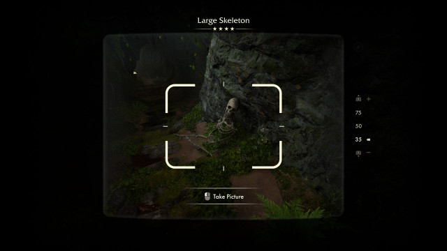 Large Skeleton