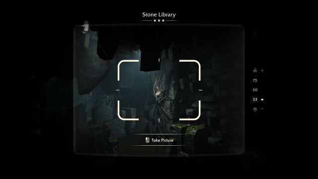Stone Library