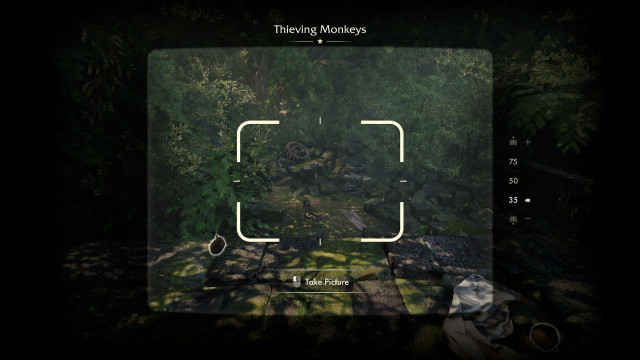 Thieving Monkeys