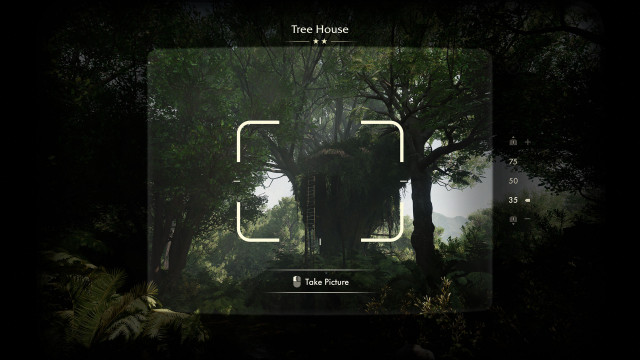 Tree House