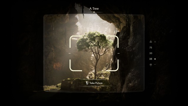 A Tree