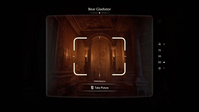 Bear Gladiator