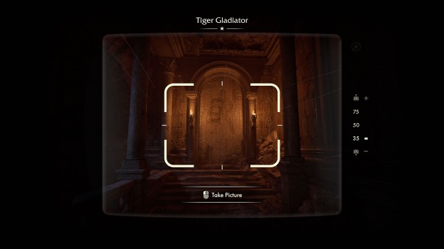 Tiger Gladiator