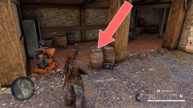 .24 Shot Shotgun Ammo