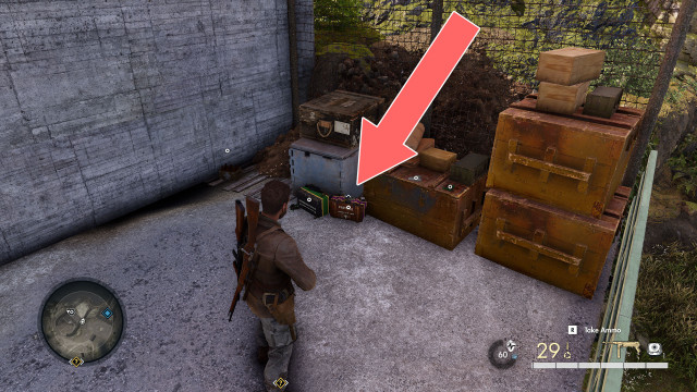 Non-Lethal Pistol Ammo