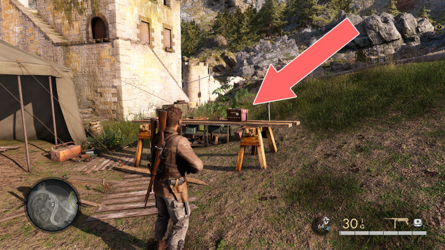 Non-Lethal Pistol Ammo