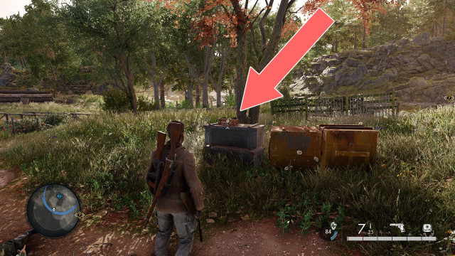 Standard Pistol Ammo