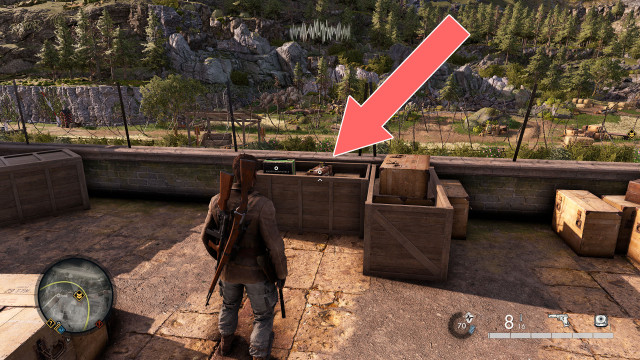 Standard Pistol Ammo