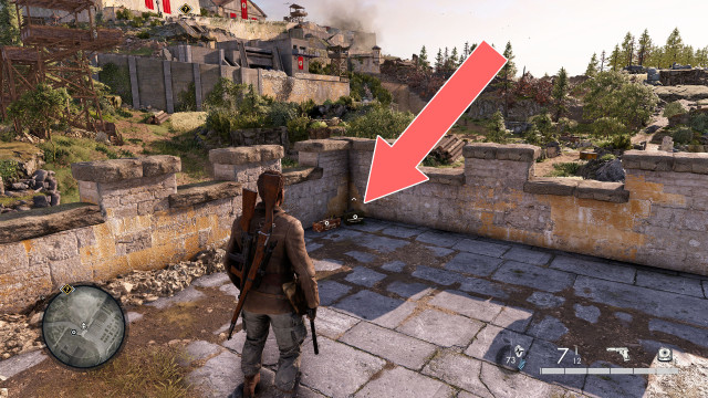 Standard SMG Ammo / Standard Shotgun Ammo