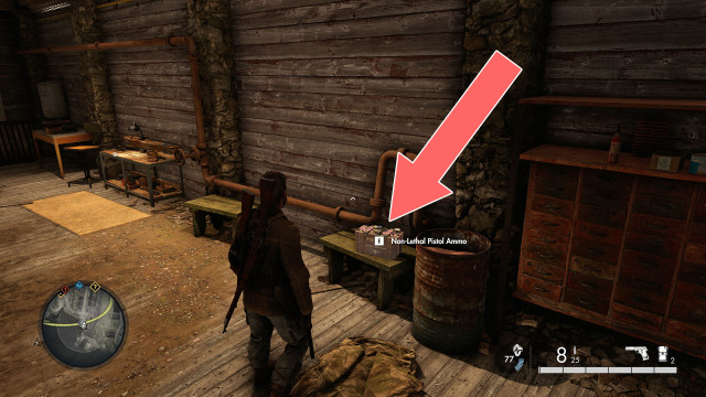 Non-Lethal Pistol Ammo