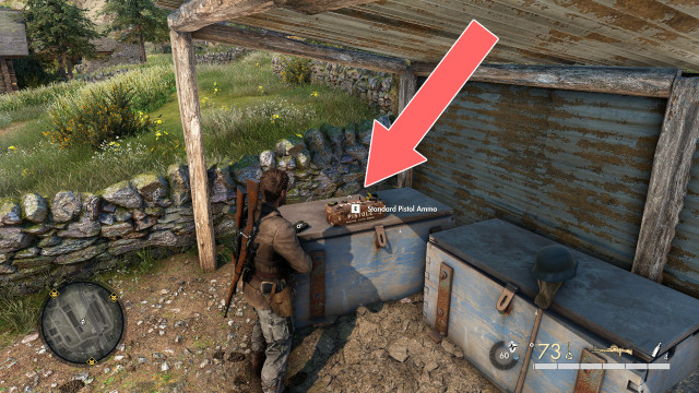 Standard Pistol Ammo