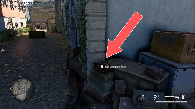 Non-Lethal Pistol Ammo