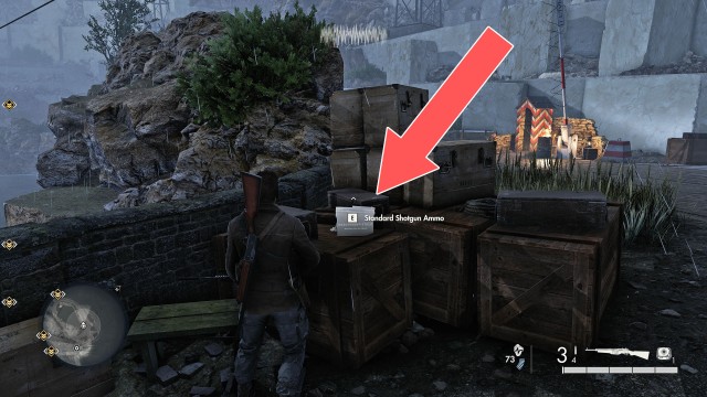 Standard SMG Ammo / Standard Shotgun Ammo