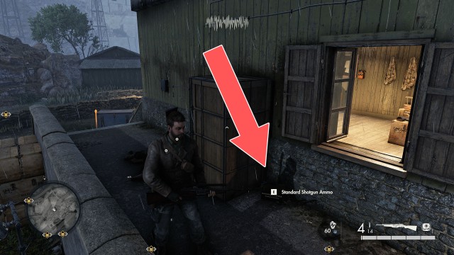 Standard SMG Ammo / Standard Shotgun Ammo