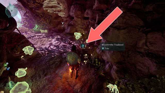 Bloodwrithe Toadstool x2