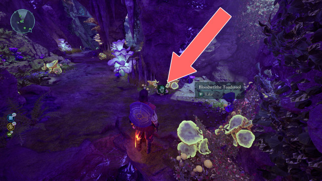 Bloodwrithe Toadstool x2