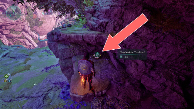 Bloodwrithe Toadstool x2