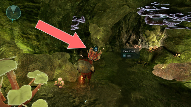 Cave Coral x2