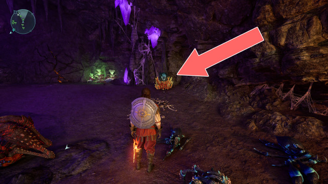 Cave Coral x2