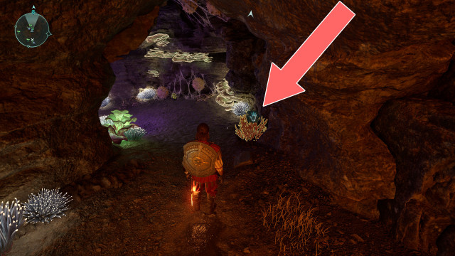 Cave Coral x2