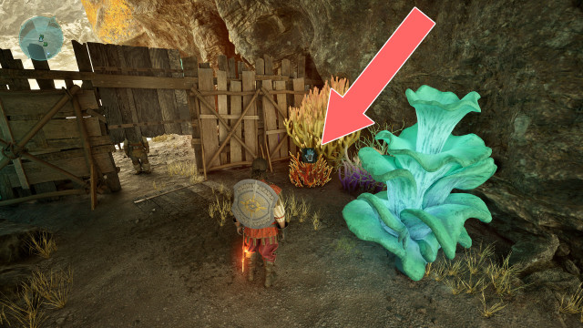 Cave Coral x2