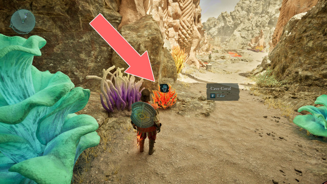 Cave Coral x2