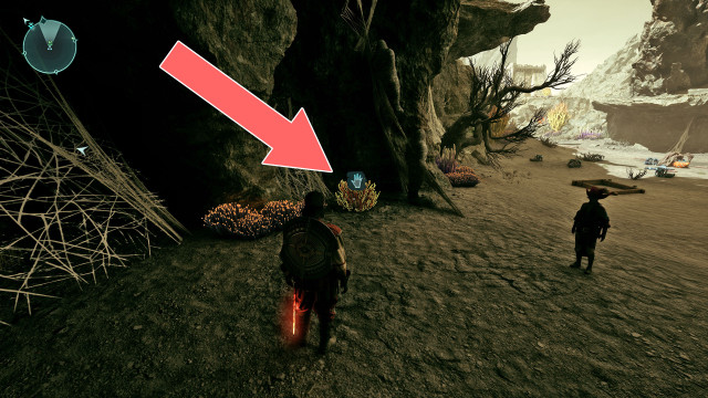 Cave Coral x2