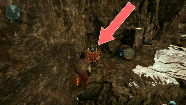Cave Coral x2