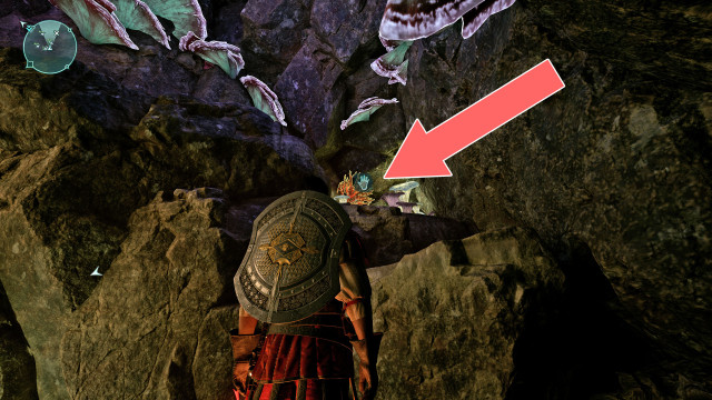 Cave Coral x2
