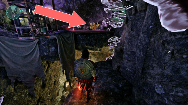 Cave Coral x2