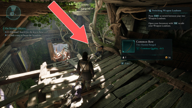 Common Bow