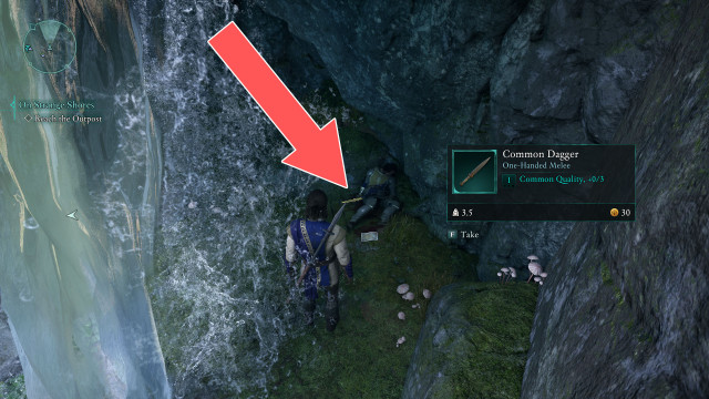 Common Dagger