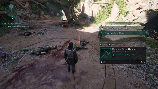 Common Great Hammer