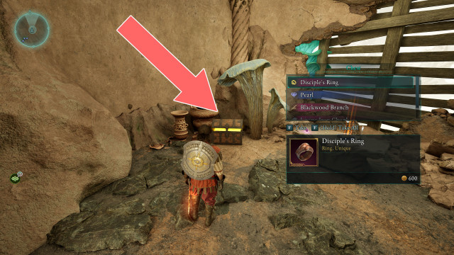 Disciple's Ring