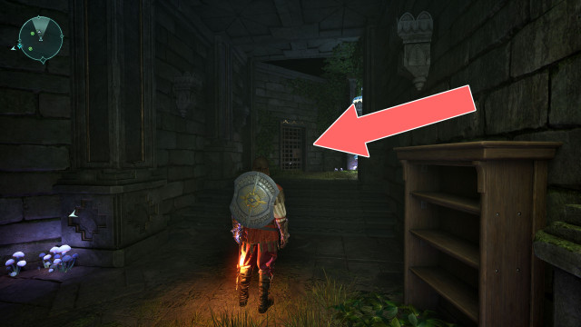 Shock Door (1)
