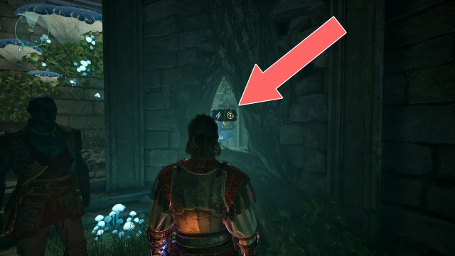 Shock Door (1)