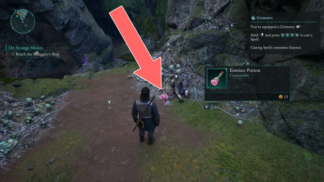 Essence Potion