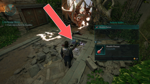 Health Potion