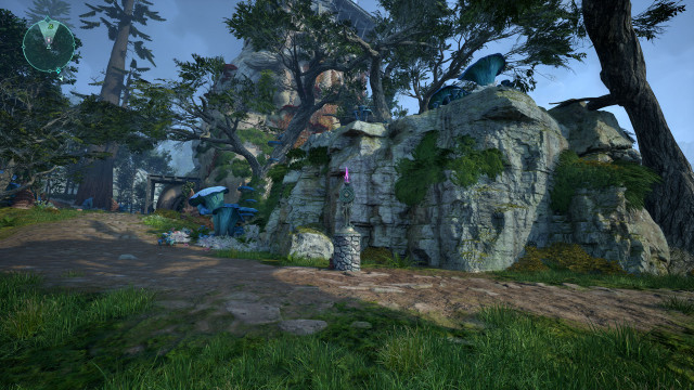 Low Forest Clearing Beacon