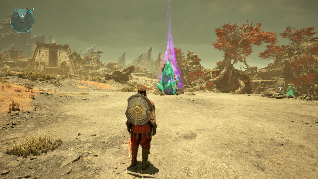 Sallow Steppe Party Camp
