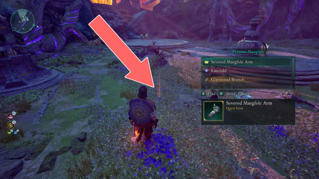 Severed Maegfolc Arm x2