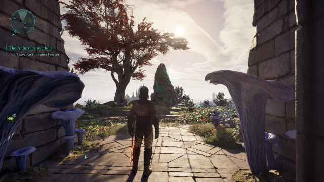 Strangled Adra (Dawnshore)