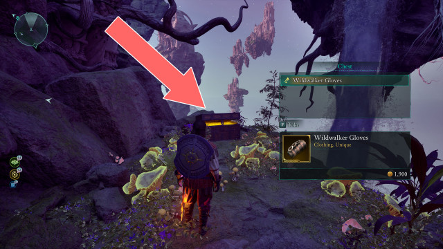 Wildwalker Gloves