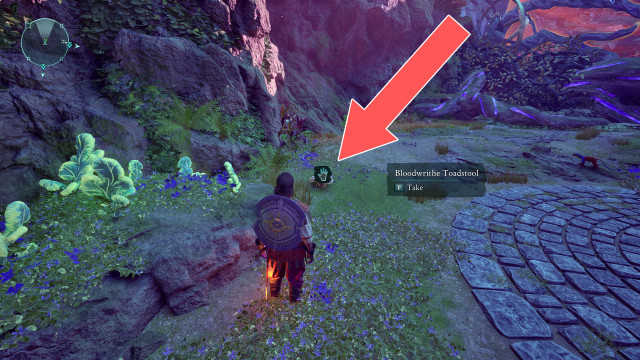 Bloodwrithe Toadstool x2