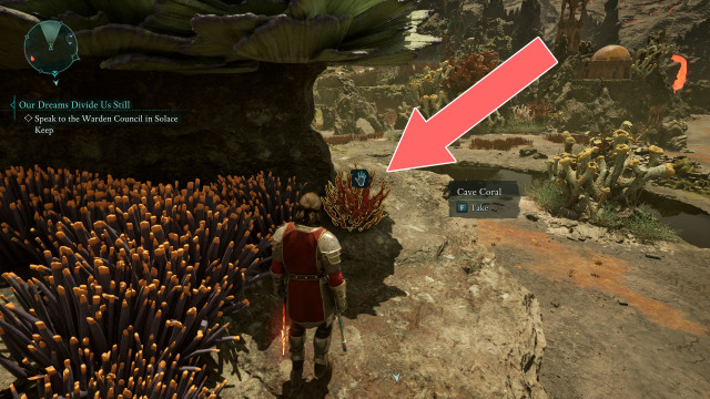 Cave Coral x2