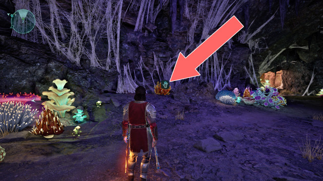 Cave Coral x2
