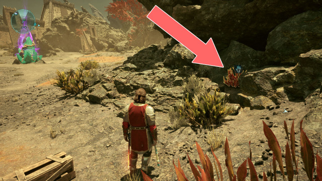 Cave Coral x2