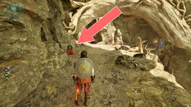 Cave Coral x2