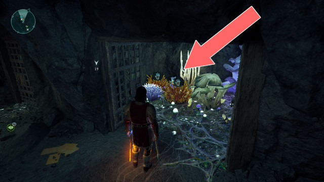Cave Coral x4