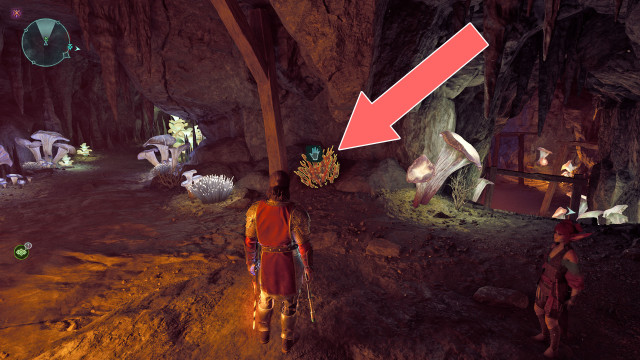 Cave Coral x2